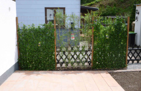 Terrasse Mit Sichtschutzhecke