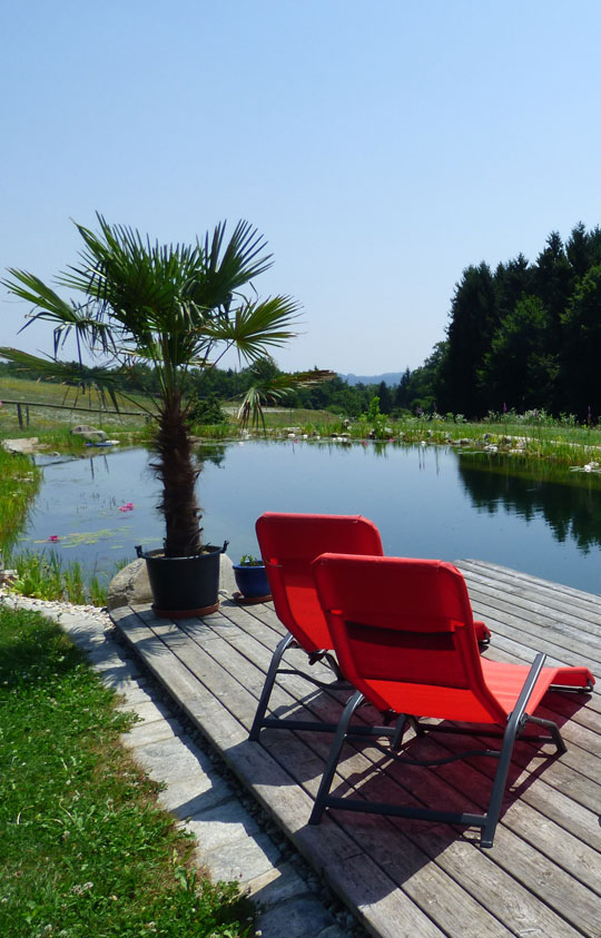 schwimmteich ohne technik